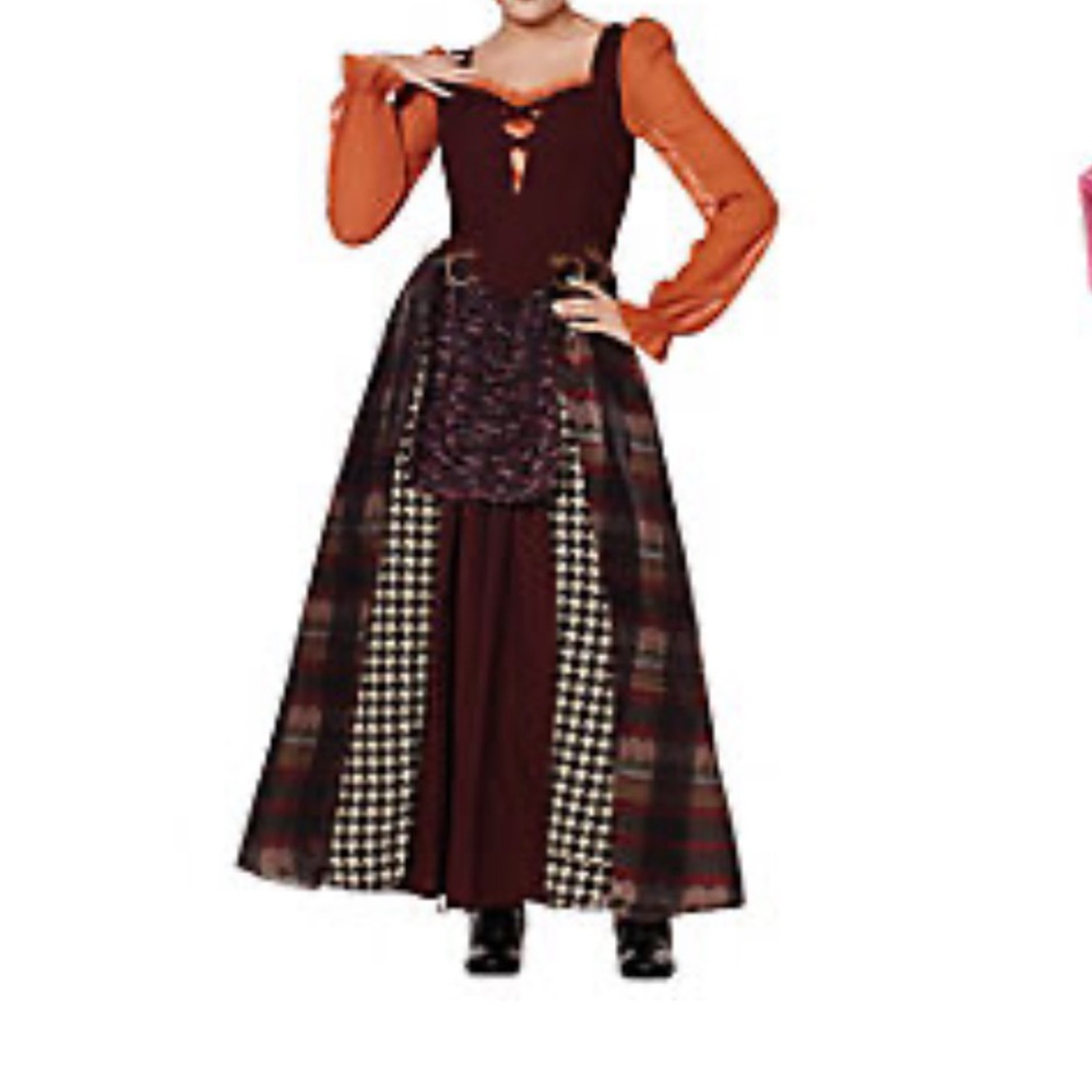 Hocus Pocus Disney Spirit Kids Halloween Costume - Orange and Brown and wig
